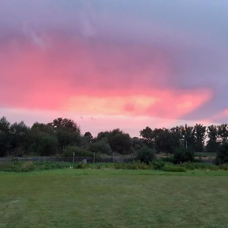 Agroturystyka Tam Gdzie Sosny Ścinawka Dolna Dış mekan fotoğraf