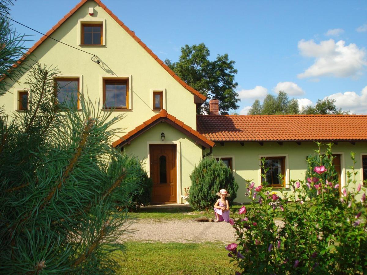 Agroturystyka Tam Gdzie Sosny Ścinawka Dolna Dış mekan fotoğraf