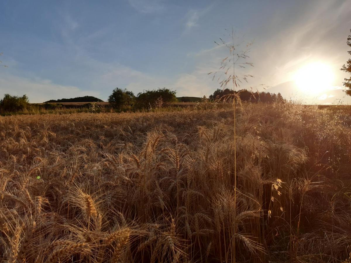 Agroturystyka Tam Gdzie Sosny Ścinawka Dolna Dış mekan fotoğraf