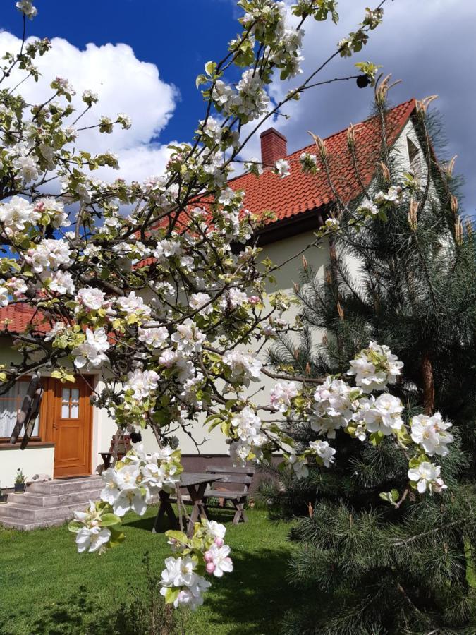 Agroturystyka Tam Gdzie Sosny Ścinawka Dolna Dış mekan fotoğraf