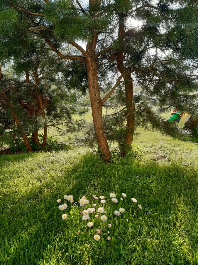 Agroturystyka Tam Gdzie Sosny Ścinawka Dolna Dış mekan fotoğraf